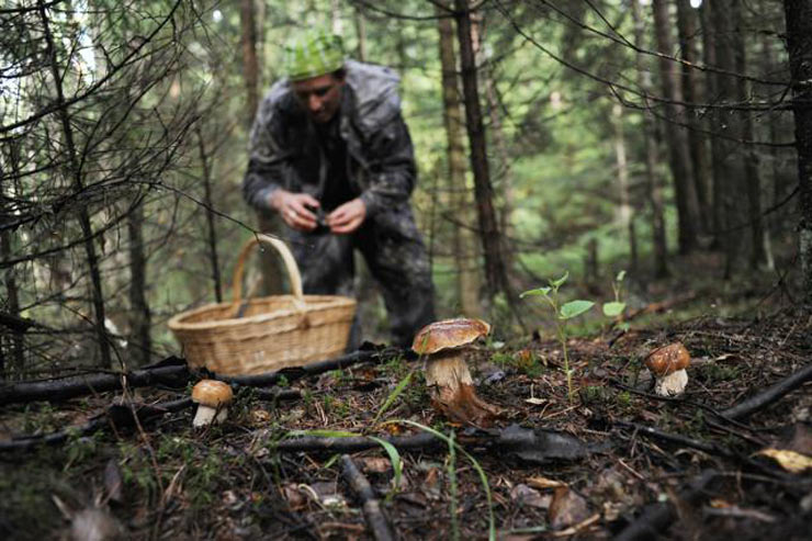 Кузбасские полицейские спасли 82-летнего грибника, который упал в овраг